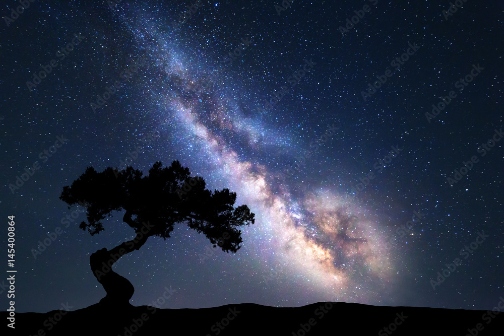 银河系，山上只有一棵老树。银河系的彩色夜景，星星的天空