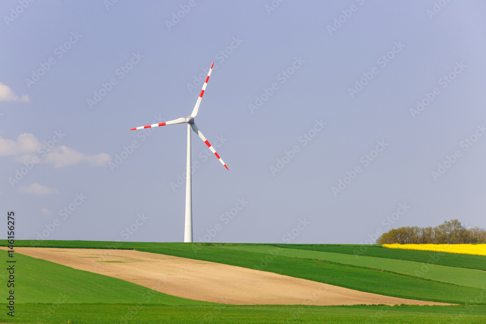 带旋转风力涡轮机的风电场