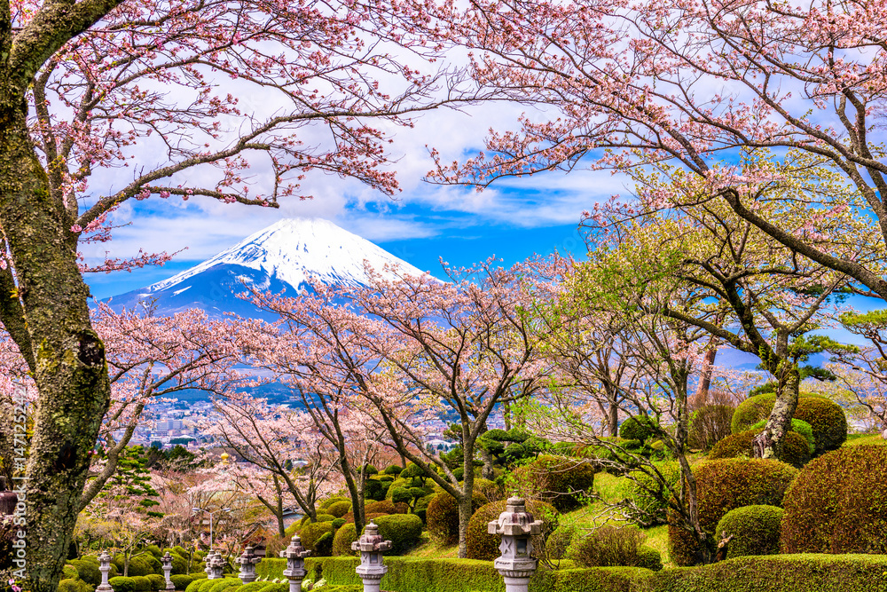 和平公园与春天的富士山