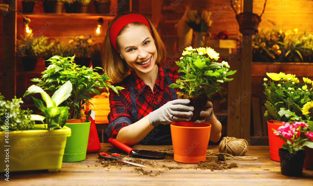 Happy woman gardener transplants and watering flowers