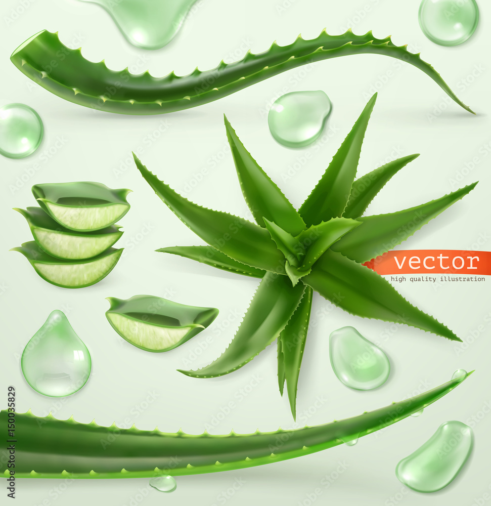 Aloe vera and drop. Medicinal plant. 3d vector icon set