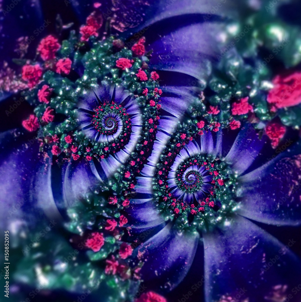 紫罗兰海军红洋红迷彩菊花双螺旋抽象分形效果图案背景