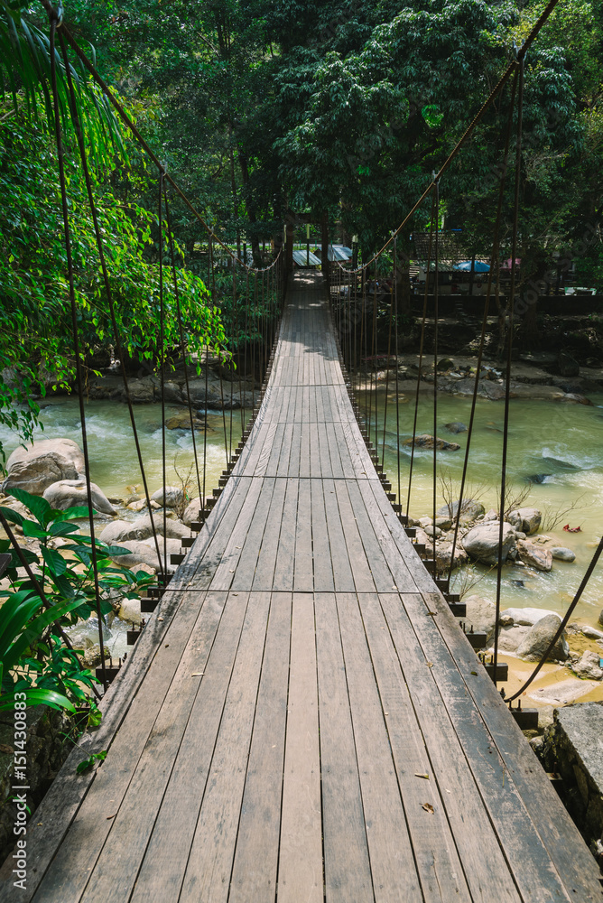森林中的跨河吊桥