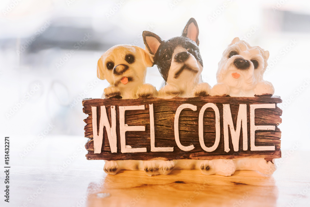 toy dog and welcome