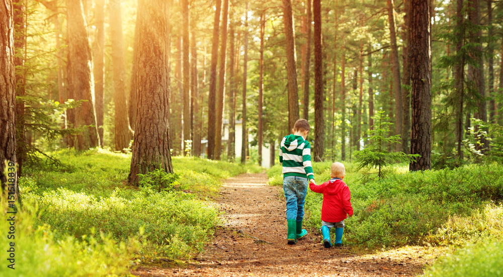 孩子们在森林里行走