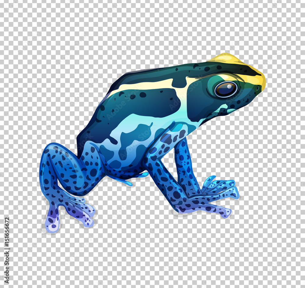 透明背景上的蓝色青蛙