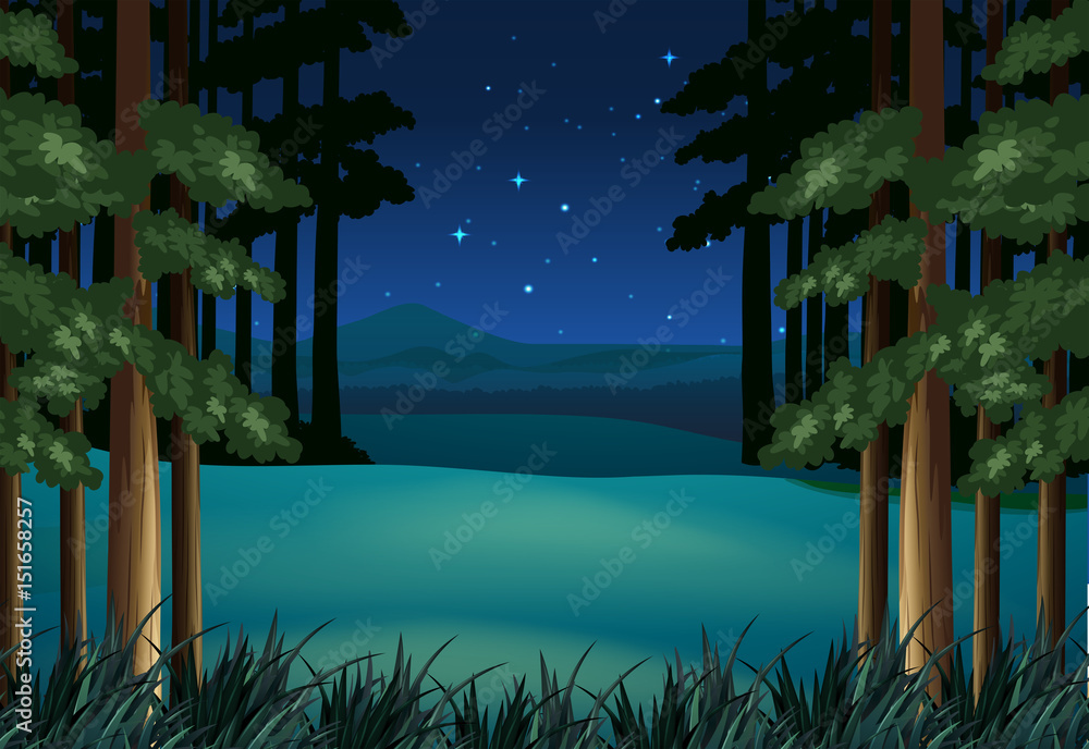 夜晚的森林景象与星星