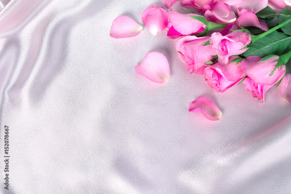 在柔软的粉色丝绸面料上绽放甜美的粉色玫瑰花瓣，浪漫和爱情卡片概念
