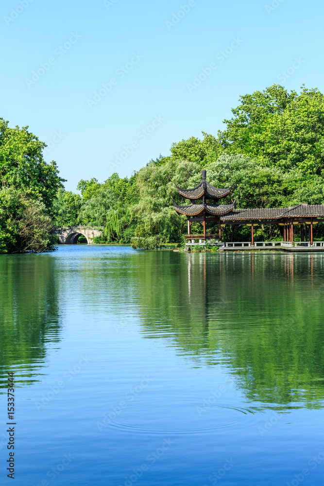 夏日美丽的杭州西湖花园，中国