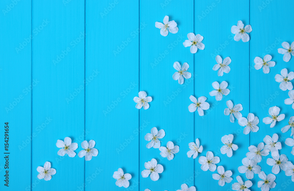 蓝木背景上的花朵