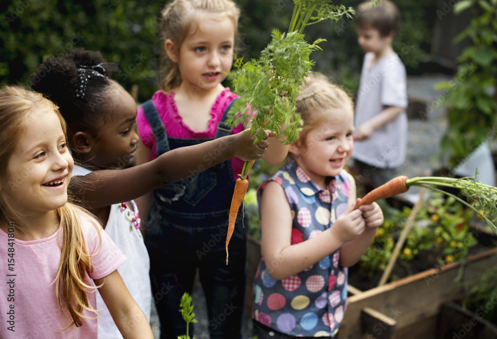 一群在户外学习园艺的幼儿园孩子