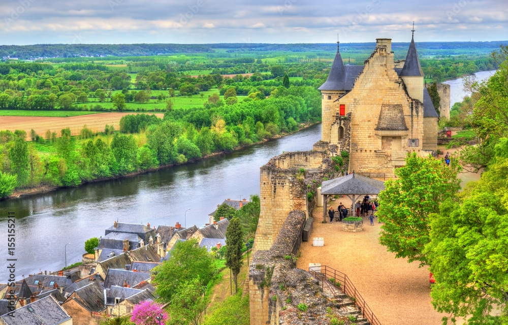 法国卢瓦尔河谷奇农城堡