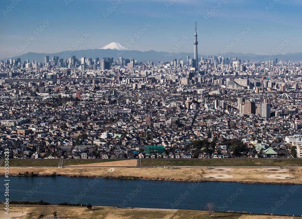 东京城市景观，东京天空之树，背景是东京市中心建筑和冬山富士