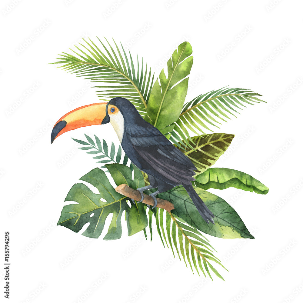 Watercolor bouquet of tropical leaves and the Toucan isolated on white background.