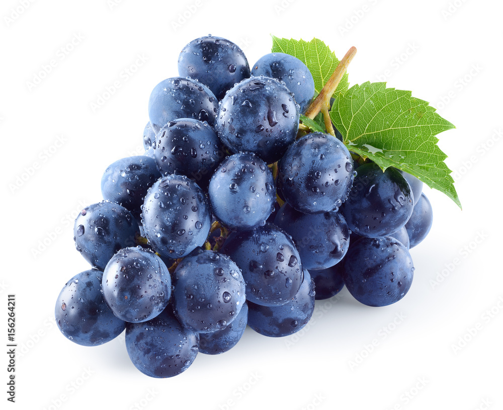 潮湿的深蓝色葡萄，叶子孤立在白色背景上。潮湿的果实。有修剪路径。全de