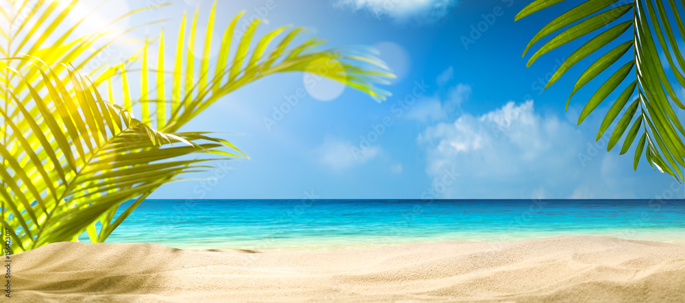 棕榈和热带海滩