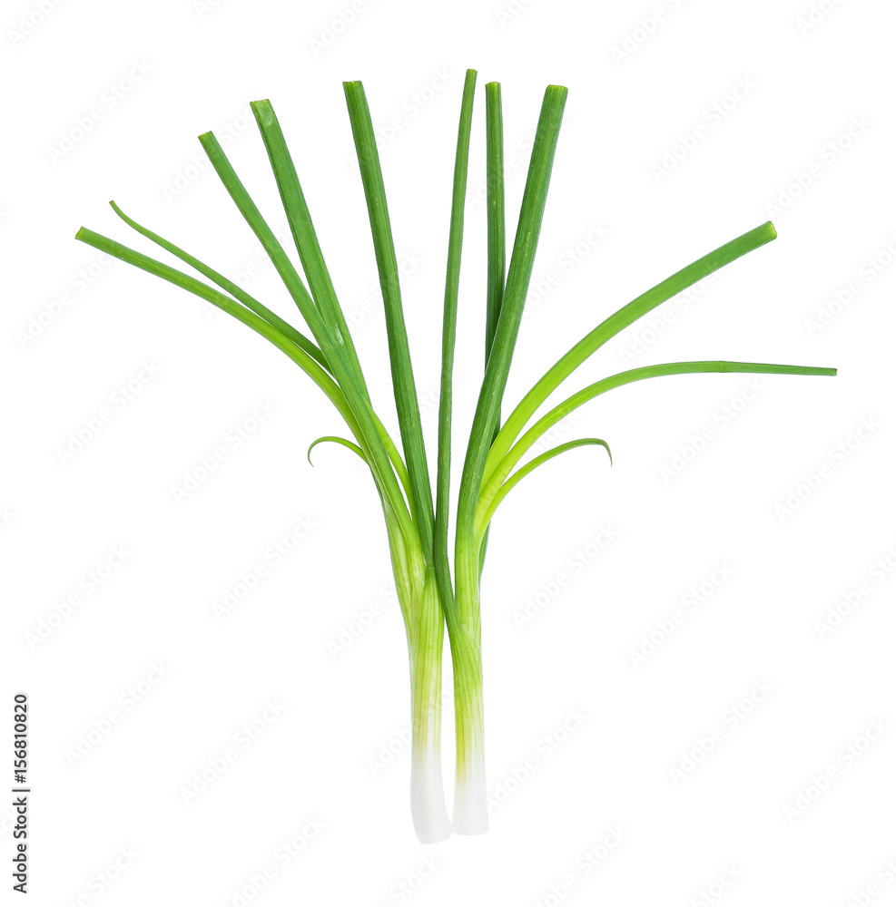 Spring onion isolated on the white background