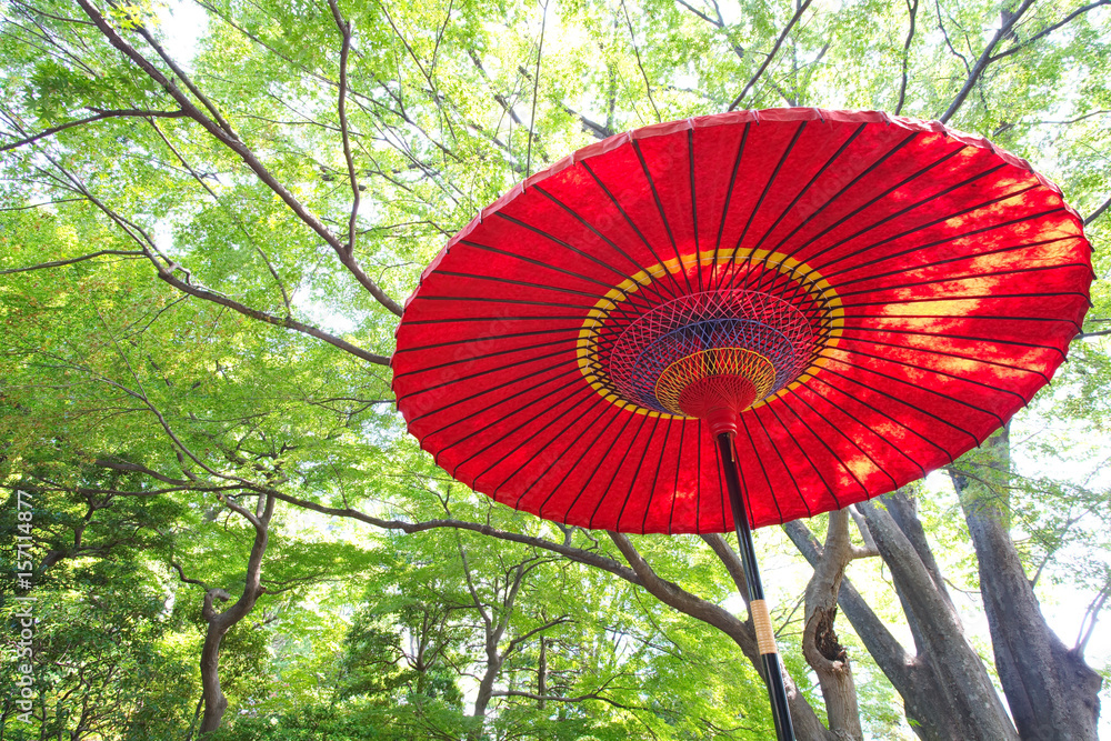 Japanese red paper umbrella with green tree at Japanese garden in summer season