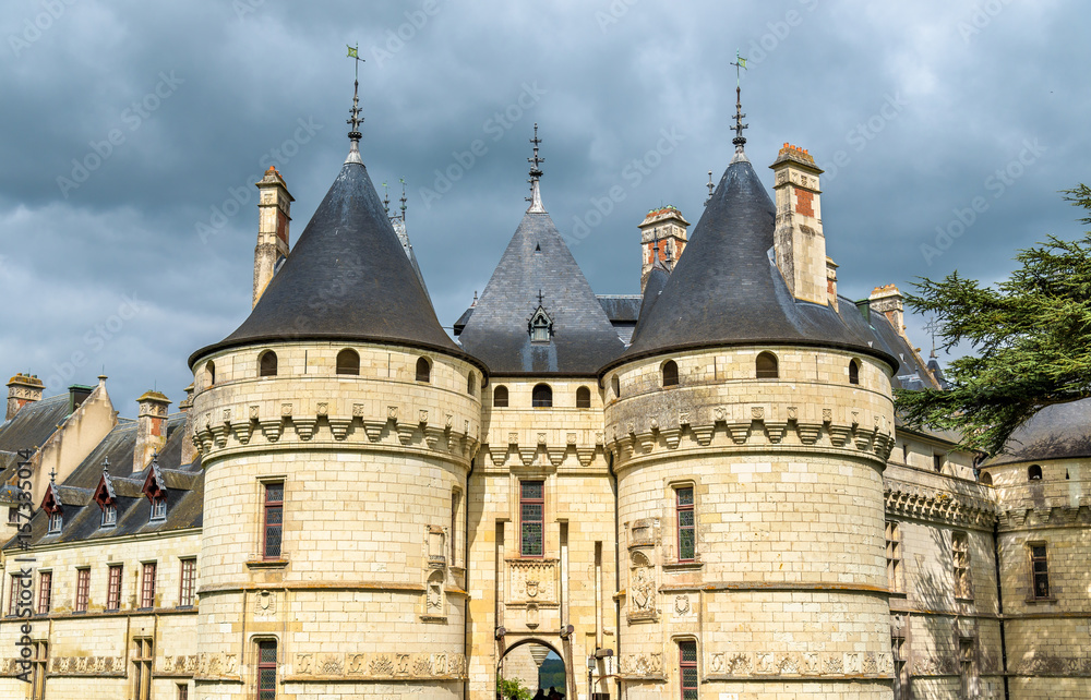 卢瓦尔河畔肖蒙城堡，法国卢瓦尔河谷的一座城堡
