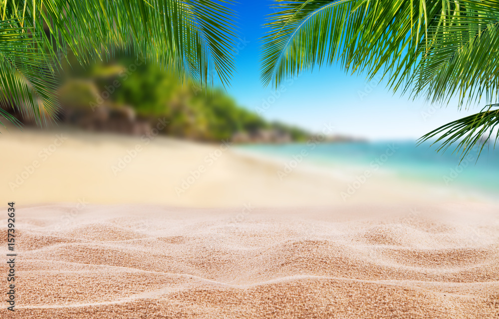 带沙滩的热带海滩，以避暑为背景。