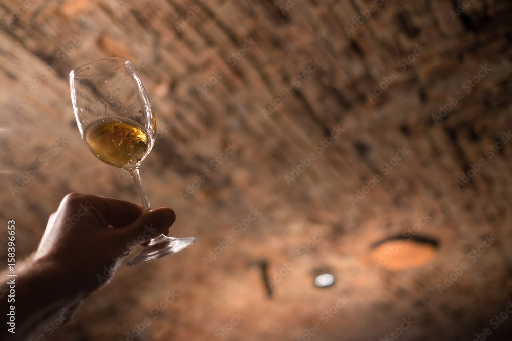 侍酒师在老酒窖里欣赏葡萄酒的颜色