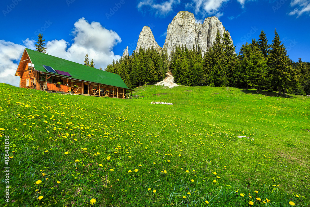 罗马尼亚美丽的夏季景观，有高高的悬崖和木屋