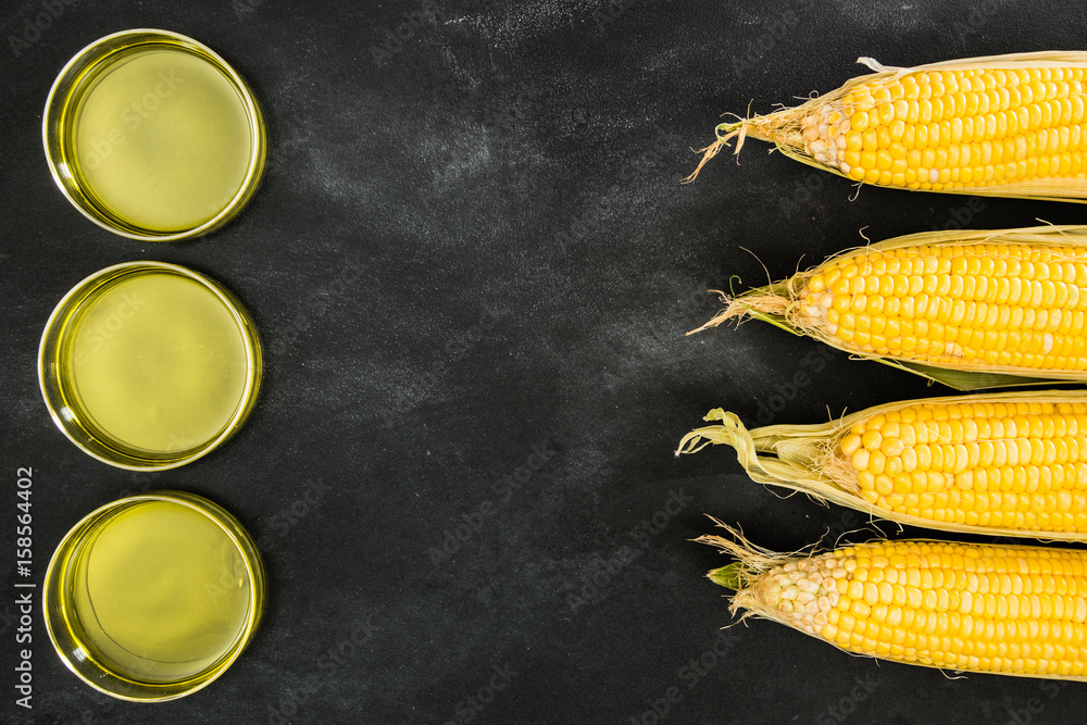 genetically modified gold corns and edible oil
