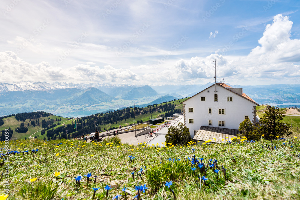 blauer Enzian, Rigi Kulm, Vierwaldstättersee und Alpen, Schweiz, Europa