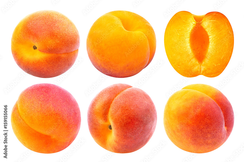 杏子分离。在白色背景上分离的整粒和切粒杏子的集合，带有修剪pa