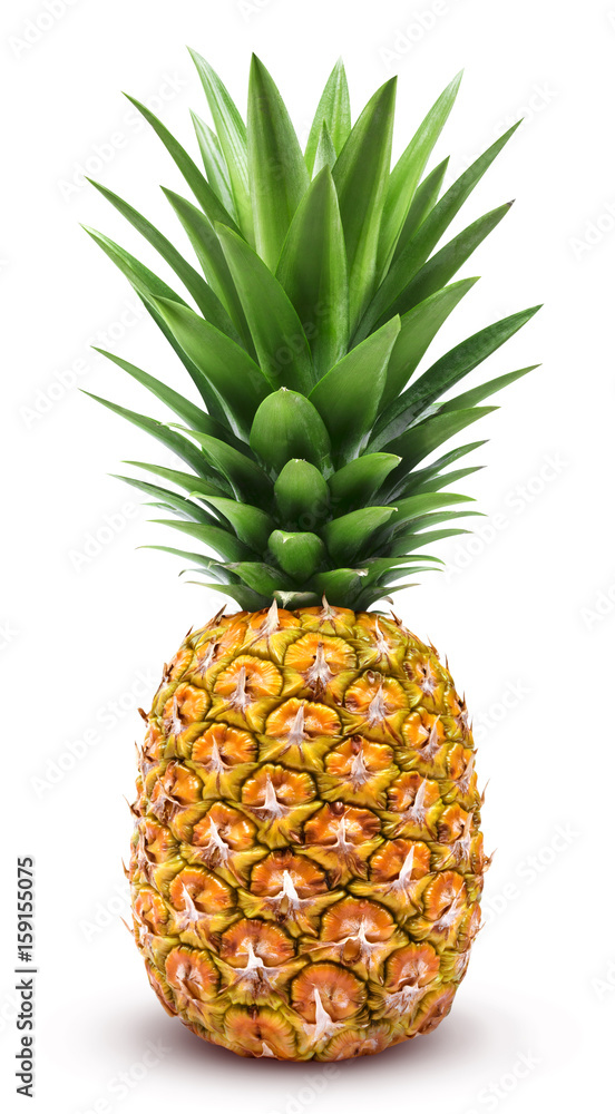 Pineapple isolated. One whole pineapple with green leaves isolated on white background with clipping