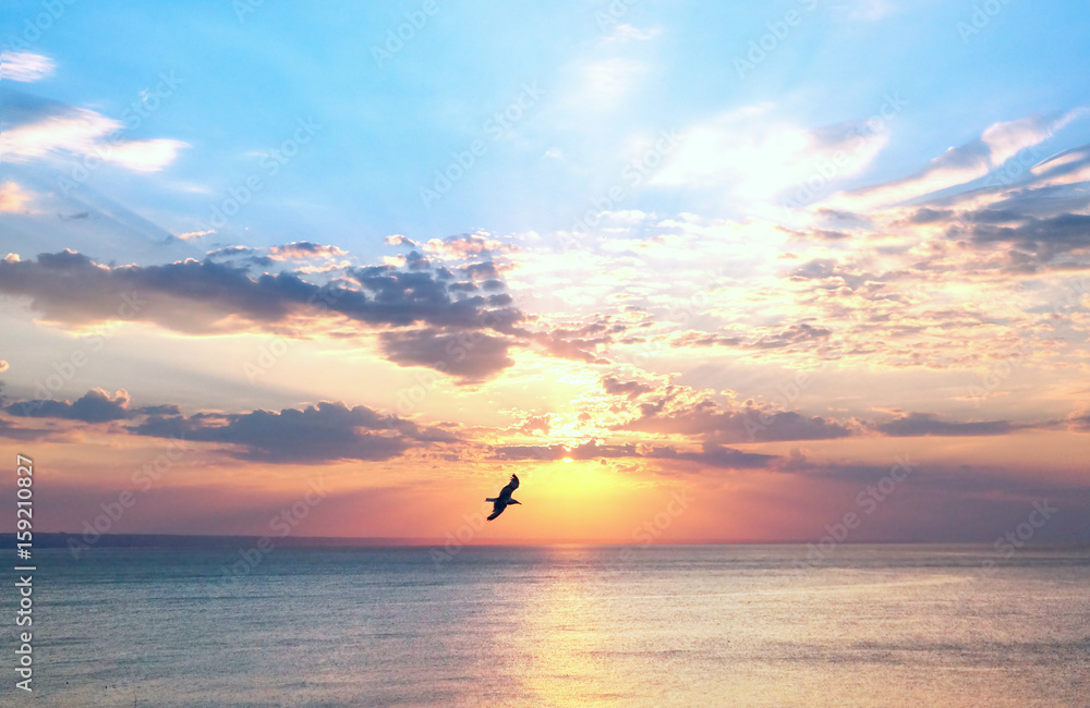 黎明时，一只海鸥在海面上的天空中飞翔。日落时，天空美丽，乌云密布。