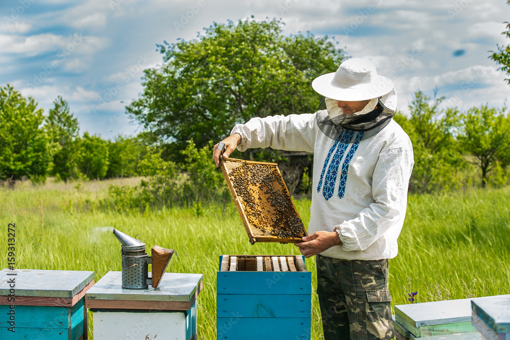 养蜂人正在养蜂场处理蜜蜂和蜂箱。蜂箱的框架