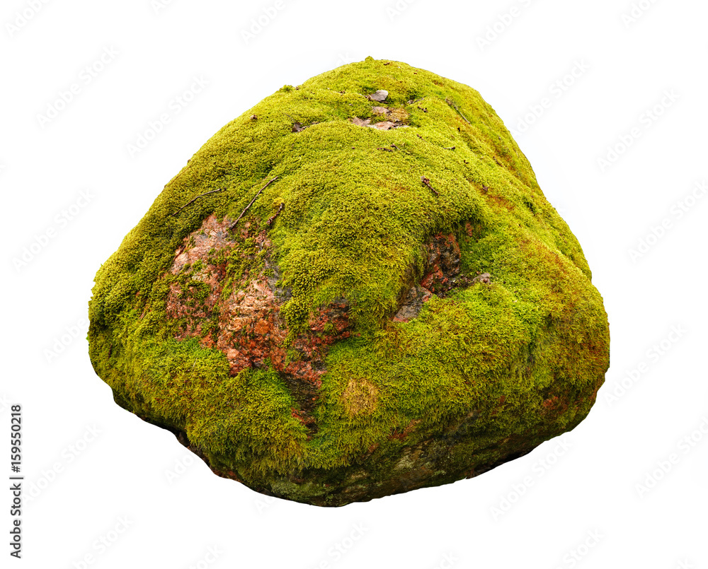 白色背景上覆盖着绿色苔藓的大石头。
