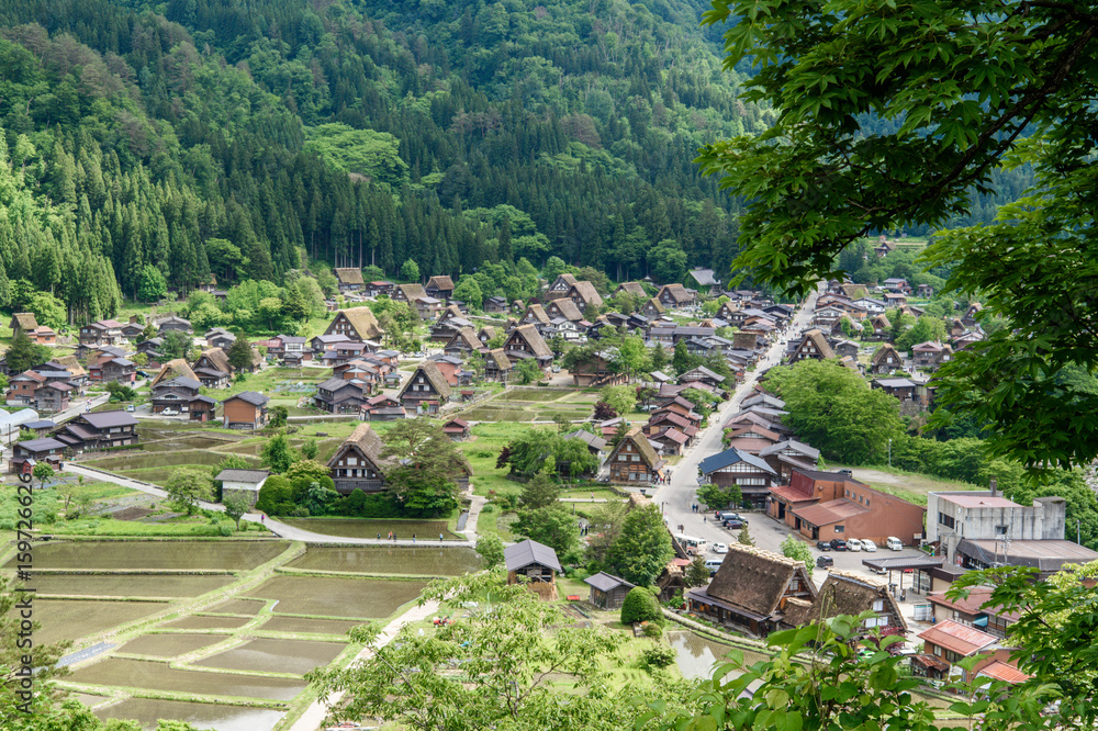 日本，白川道2017年6月2日：白川道的历史村落和Gokayama在春天,旅行