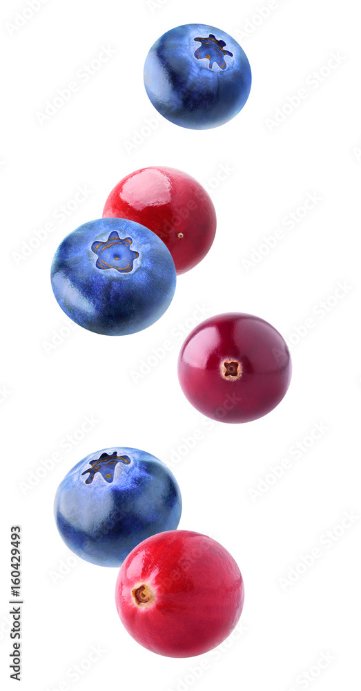 分离的飞行浆果。在白色背景上分离的蔓越莓和蓝莓果实，含cl