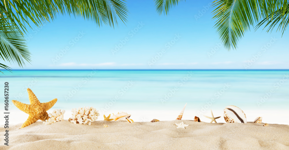 沙滩上有海星的热带海滩，以避暑为背景。