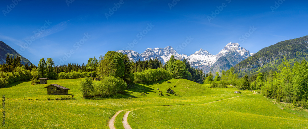 风景优美的高山景观，盛开的草地，背景是白雪覆盖的山峰，萨尔茨堡土地，