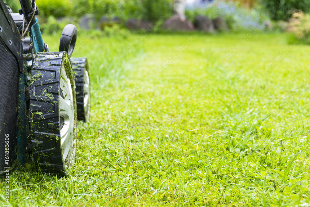 Mowing lawns, Lawn mower on green grass, mower grass equipment, mowing gardener care work tool, clos