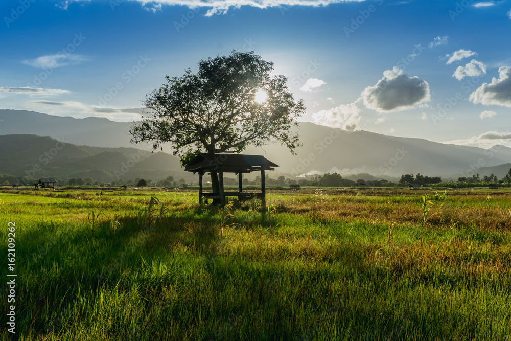 泰国乡村农业花园上的农民小屋和树木，阳光照耀日落