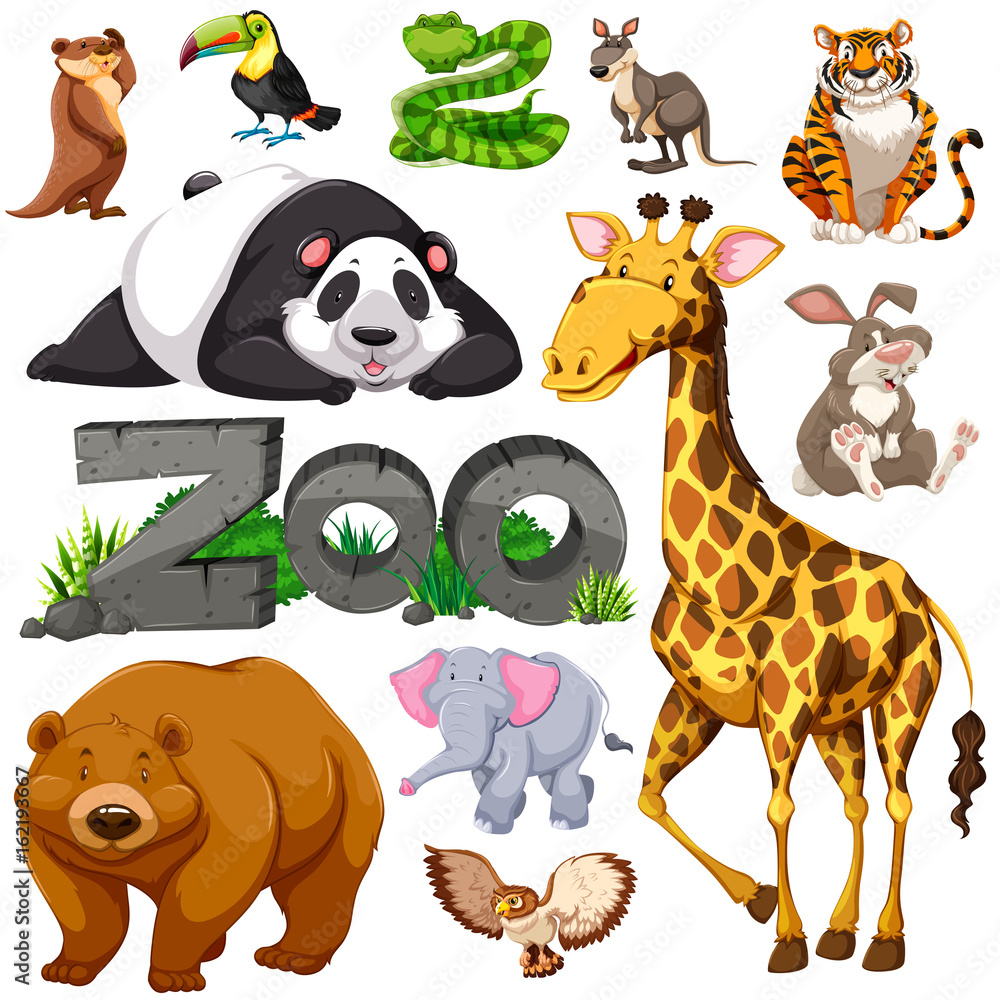 动物园和不同类型的野生动物