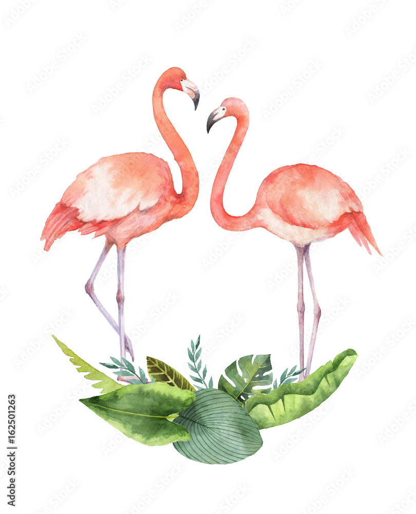 热带树叶和粉红色火烈鸟的水彩卡片，孤立在白色背景上。