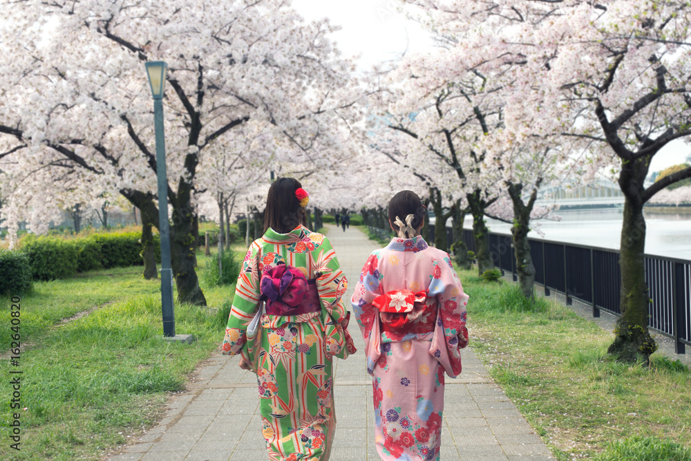 在日本大阪的樱花花园里，一对穿着传统日本和服的亚洲女性。
