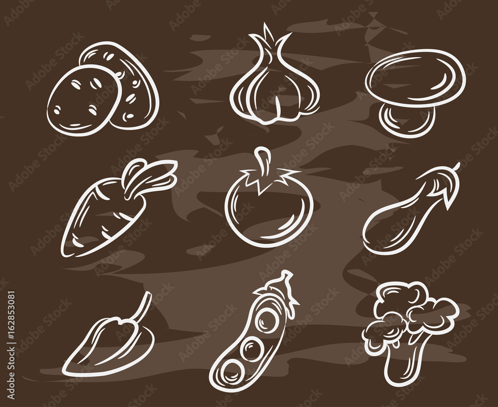 手绘蔬菜系列。复古风格的食品设计。矢量插图。