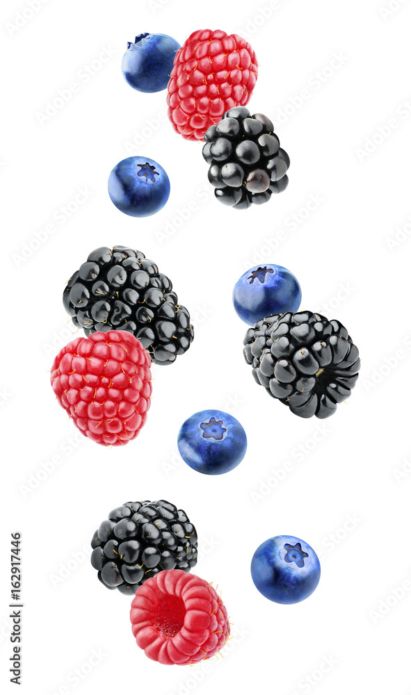 孤立的漂浮浆果。掉落的黑莓、覆盆子和蓝莓果实孤立在白背上