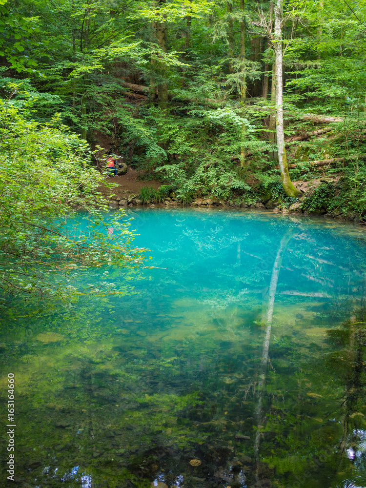 罗马尼亚卡拉斯塞弗林县奥奇乌尔·贝乌鲁伊森林中的美丽池塘
