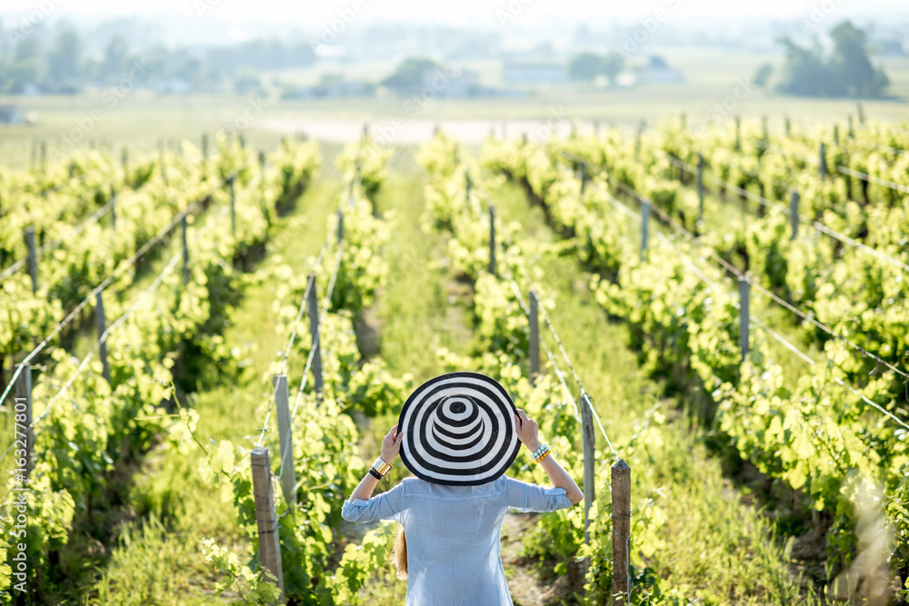 戴条纹帽子的年轻女子在法国波尔多地区的葡萄园欣赏美丽的日落