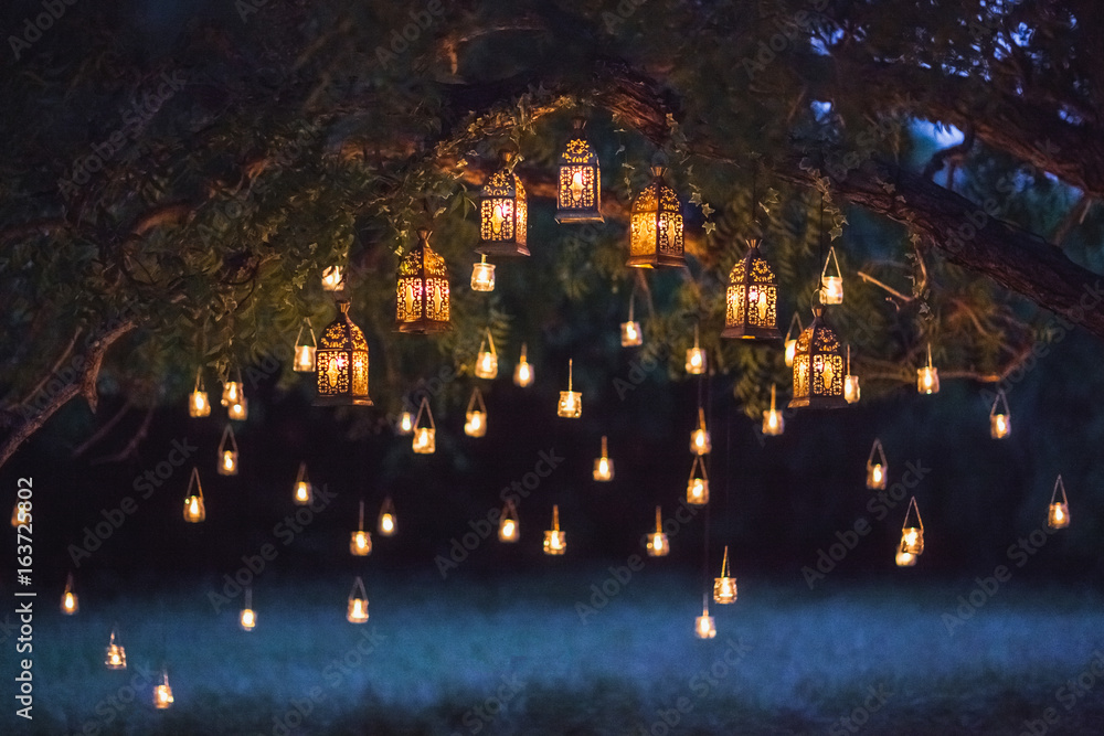 大树上有很多老式灯具和蜡烛的夜间婚礼