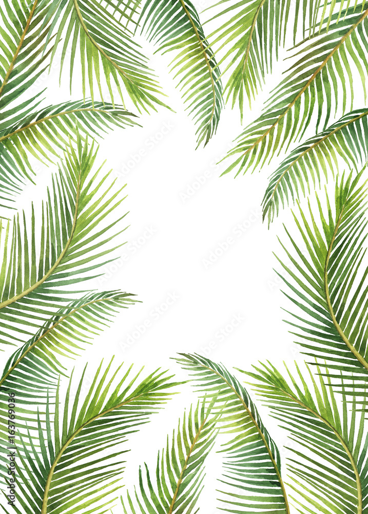 水彩画将热带树叶和树枝隔离在白色背景上。