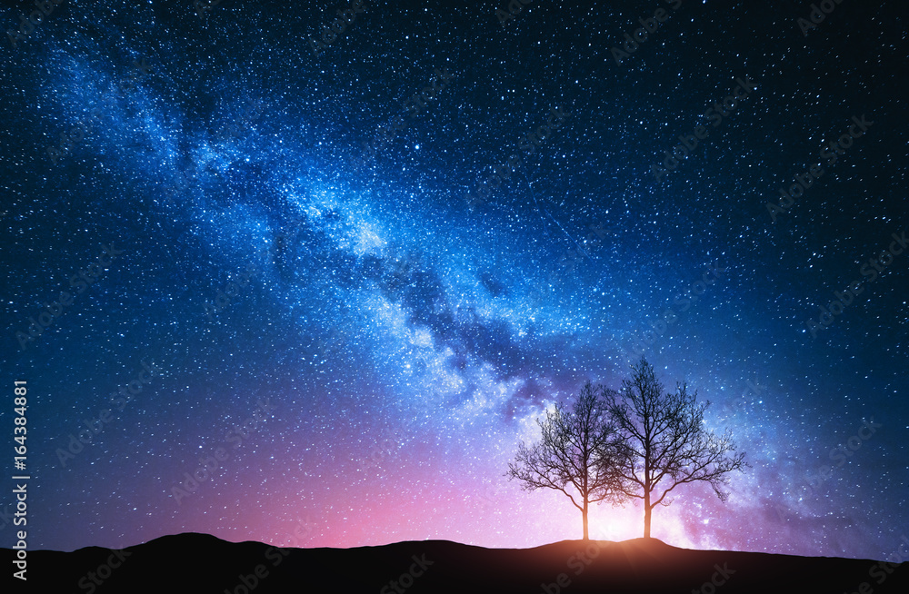 粉红色的银河系和树木组成的星空。山丘上孤独的树木映衬着夜色
