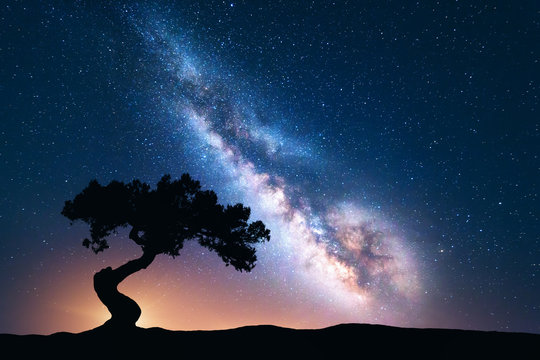 银河系，山上只有一棵弯曲的老树。五彩缤纷的夜景，明亮的银河，s